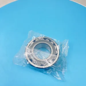 1209 Ektn9 Self-Aligning Ball Bearings