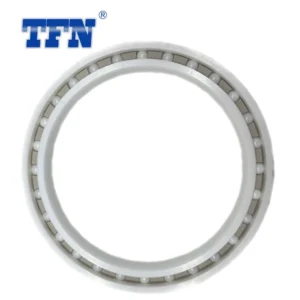 ABEC9 10X22X6mm Thin Section 6900 Ceramic Bearing