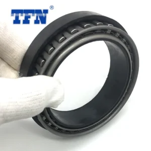 Bwc12344 Unidirectional Overrunning Clutch Bearing in Stock