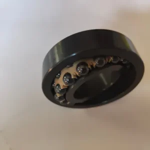 Double Row Full Ceramic Aligning Ball Bearing 1200 1201 1202 1203 1204