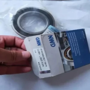 Gmn 6009 2rz P4 Deep Groove Ball Bearing Hot Sale