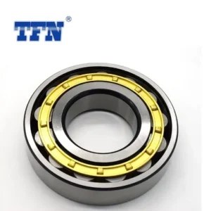 Hch 55*100*21mm Nj211 Cylindrical Roller Bearing China