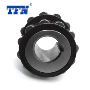 NTN Reducer Eccentric Bearing 60uzs87 for Car
