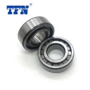 Ncf2956V SL 182956 Full Complement Cylindrical Roller Bearing