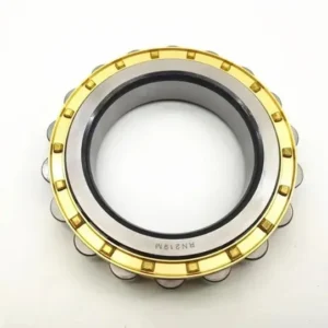 Rn219 Single Row Cylindrical Roller Bearing Without Outer Rings