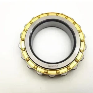 Rn219 Single Row Cylindrical Roller Bearing Without Outer Rings Special