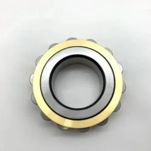 Rn219 Single Row Cylindrical Roller Bearing Without Outer Rings Special for Reducer