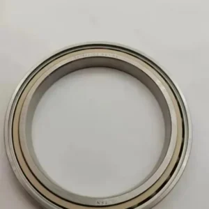 S61810 C3 Hybrid Ceramic Ball Bearing Zro2 Ball Peek Cage Customed Bearing