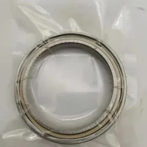 S61813 C3 Hybrid Ceramic Ball Bearing Zro2 Ball Peek Cage Customed Bearing