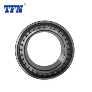 SL014864 Bearing Best Price Cylindrical Roller Bearing